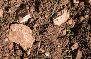 Terreno e ubicazione